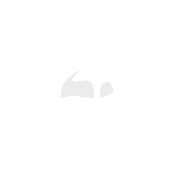 Bad Blau
