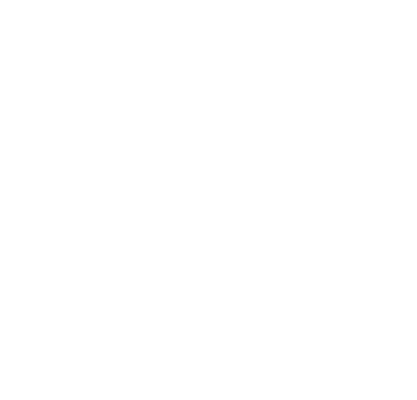 Boehringer Ingelheim