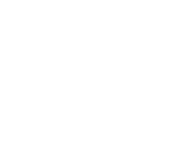 Flotte Lotte