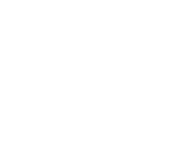 Regio TV