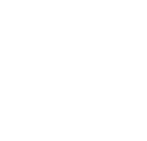 Systemhaus Ulm