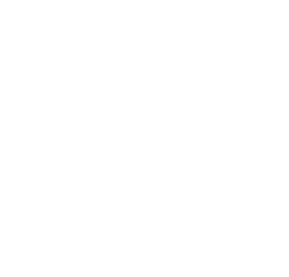 Visions